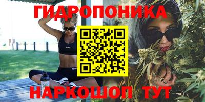 apvp Гай