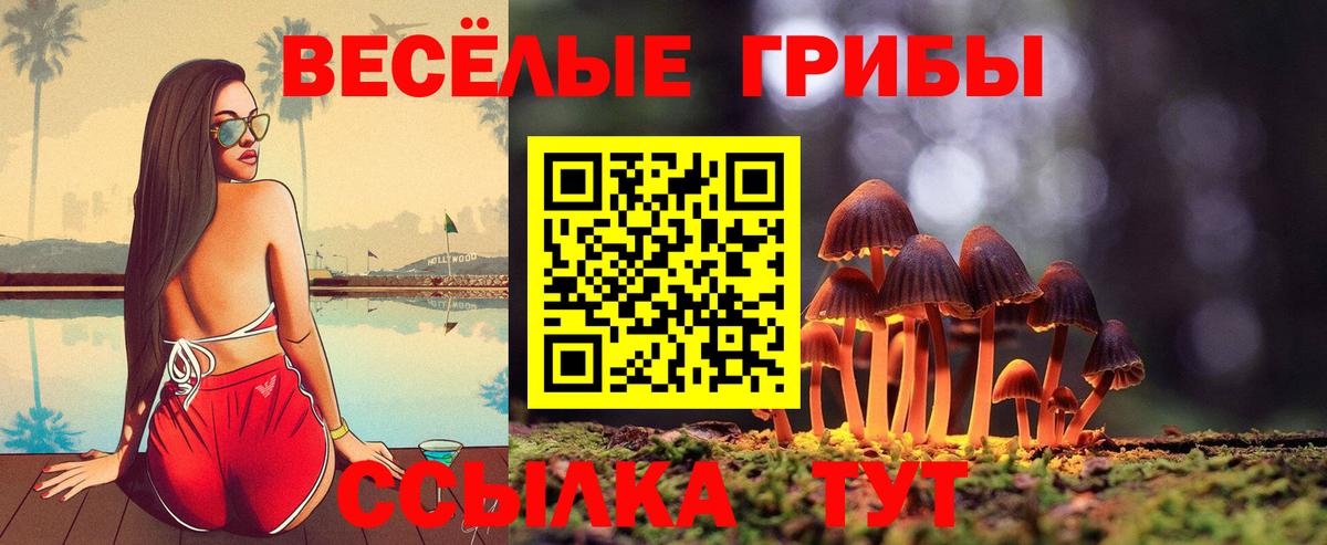 Галлюциногенные грибы Psilocybine cubensis  Вход с VPN  Муром  Псилоцибиновые грибы Cubensis 